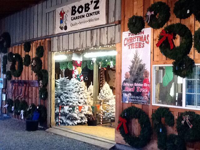 Christmas Trees from Bob'z Garden Center